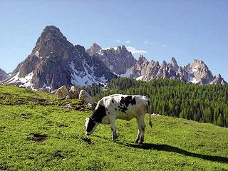 scorcio verso i Cadini di Misurina dall’inizio del sentiero