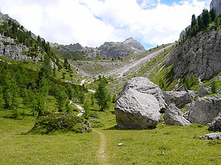 L’ampia radura prativa alla soglia del Ciadìn de Rinbianco; in alto Forc. Rinbianco