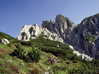 Poco a sud di Forc. Valgrande, in vista del M. Cornón)