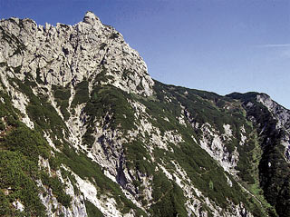 Tra i mughi sul sent. segn. 334, in vista della lontana Forc. Valgrande e del M. Brentóni