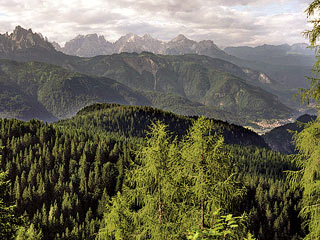 I  boschi di Tamarì e Pian de l’Òpa, in vista del fondovalle cadorino